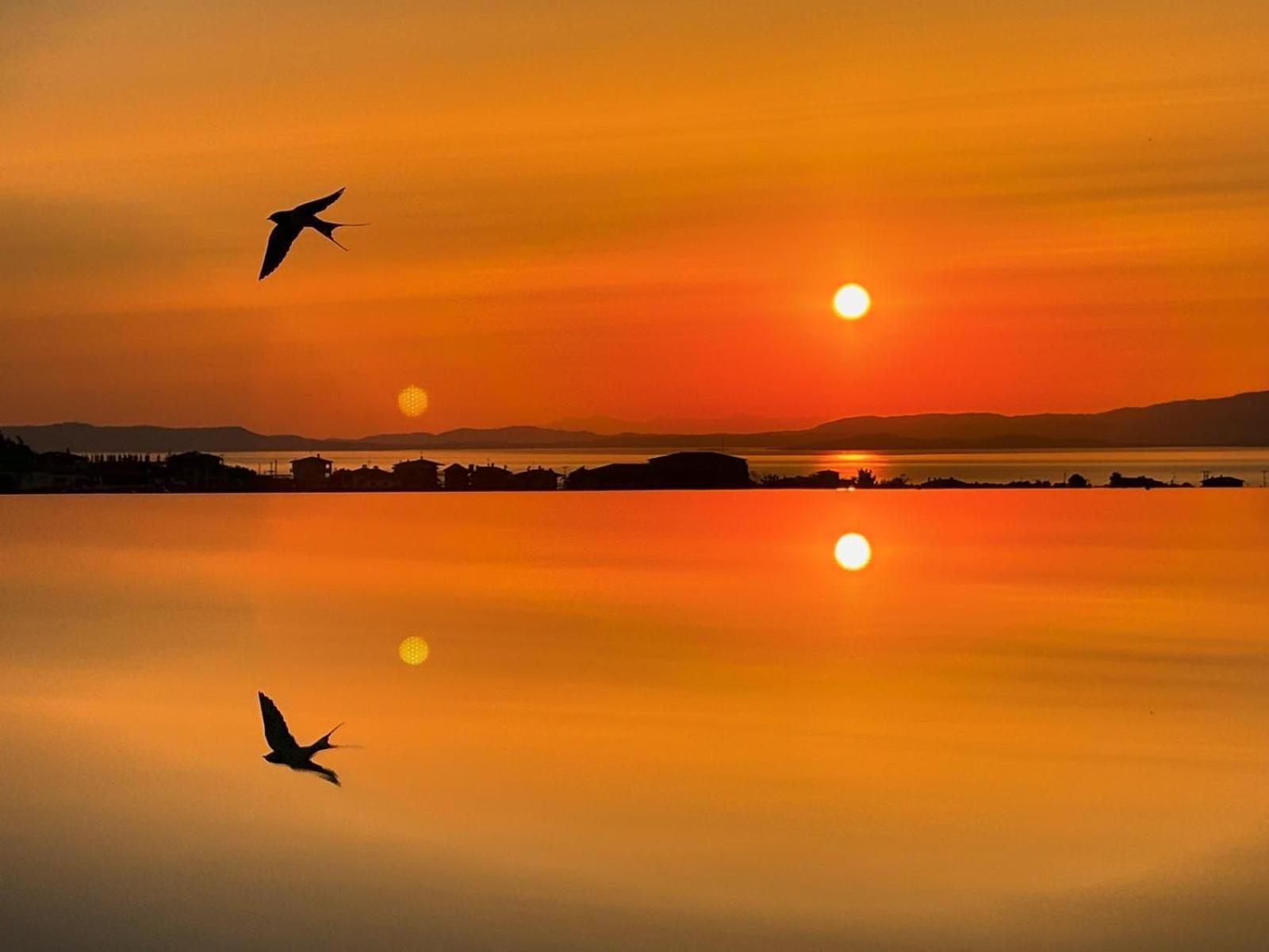 St Nikola Panoramic Suites Halkidiki Agios Nikolaos  Buitenkant foto